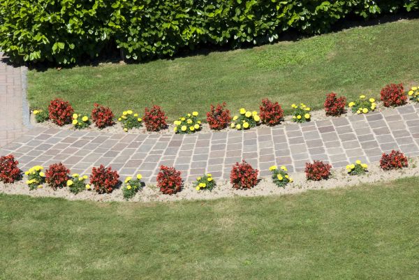 Garden Paving in Conway
