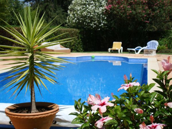 Pool Terrace Renovation in Conway